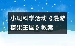小班科學活動：《漫游糖果王國》教案