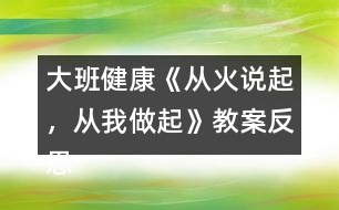 大班健康《從火說起，從我做起》教案反思