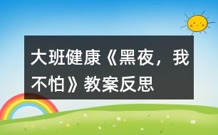 大班健康《黑夜，我不怕》教案反思
