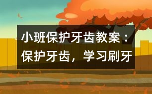 小班保護(hù)牙齒教案 :保護(hù)牙齒，學(xué)習(xí)刷牙