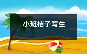 小班：桔子寫(xiě)生