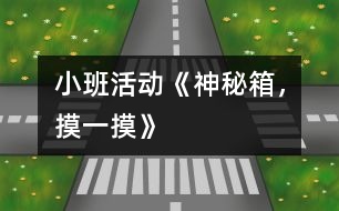 小班活動《神秘箱，摸一摸》