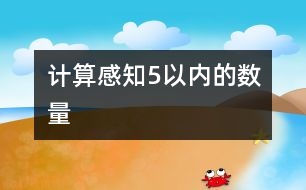 計算：感知5以內(nèi)的數(shù)量