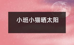 小班：小貓曬太陽