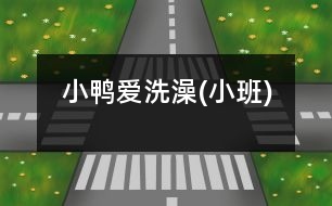 小鴨愛(ài)洗澡(小班)