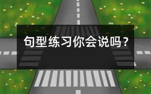 句型練習“你會說嗎？”