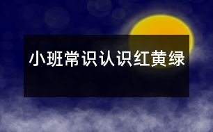 小班常識(shí)：認(rèn)識(shí)紅、黃、綠
