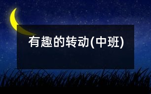 有趣的轉(zhuǎn)動(中班)