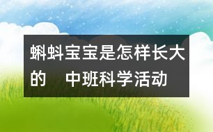 蝌蚪寶寶是怎樣長(zhǎng)大的　（中班科學(xué)活動(dòng)）