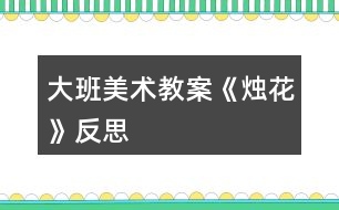 大班美術(shù)教案《燭花》反思