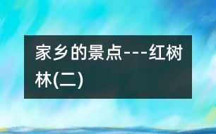 家鄉(xiāng)的景點(diǎn)---紅樹林(二)