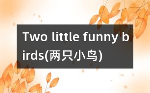 Two little funny birds(兩只小鳥(niǎo))