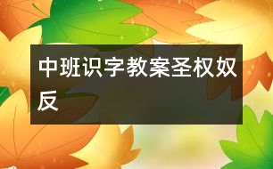 中班識字教案：圣、權(quán)、奴、反