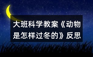 大班科學教案《動物是怎樣過冬的》反思