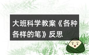 大班科學(xué)教案《各種各樣的筆》反思