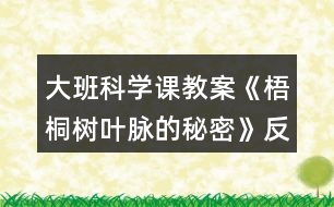 大班科學(xué)課教案《梧桐樹(shù)葉脈的秘密》反思