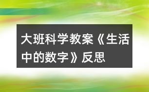 大班科學教案《生活中的數(shù)字》反思