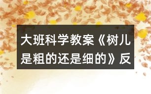 大班科學教案《樹兒是粗的還是細的》反思