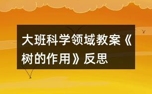 大班科學領(lǐng)域教案《樹的作用》反思