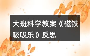 大班科學教案《磁鐵吸吸樂》反思