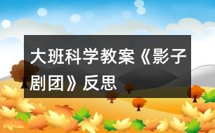大班科學(xué)教案《影子劇團》反思