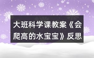大班科學課教案《會爬高的水寶寶》反思