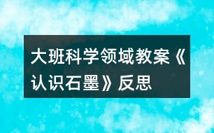 大班科學(xué)領(lǐng)域教案《認識石墨》反思
