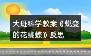 大班科學教案《蛻變的花蝴蝶》反思