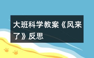 大班科學(xué)教案《風(fēng)來(lái)了》反思