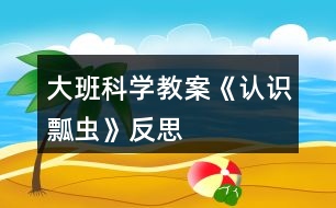 大班科學(xué)教案《認(rèn)識(shí)瓢蟲(chóng)》反思
