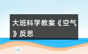 大班科學(xué)教案《空氣》反思
