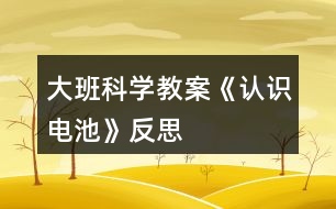 大班科學(xué)教案《認識電池》反思