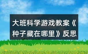 大班科學(xué)游戲教案《種子藏在哪里》反思