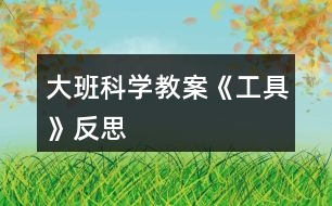 大班科學教案《工具》反思