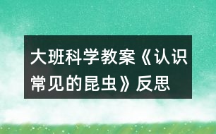 大班科學(xué)教案《認(rèn)識常見的昆蟲》反思