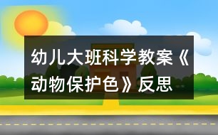 幼兒大班科學(xué)教案《動(dòng)物保護(hù)色》反思