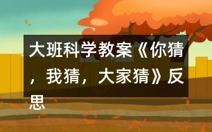 大班科學(xué)教案《你猜，我猜，大家猜》反思
