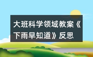 大班科學領域教案《下雨早知道》反思
