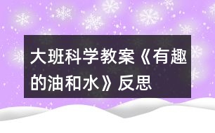 大班科學教案《有趣的油和水》反思