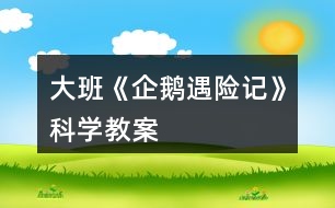 大班《企鵝遇險記》科學(xué)教案