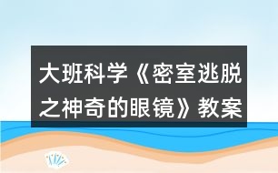 大班科學《密室逃脫之神奇的眼鏡》教案反思