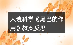 大班科學《尾巴的作用》教案反思