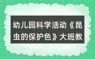 幼兒園科學(xué)活動(dòng)《昆蟲的保護(hù)色》大班教案反思