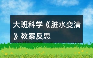 大班科學《臟水變清》教案反思