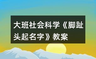大班社會(huì)科學(xué)《腳趾頭起名字》教案