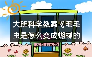 大班科學教案《毛毛蟲是怎么變成蝴蝶的》毛毛蟲變成蝴蝶反思