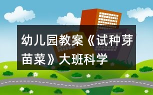 幼兒園教案《試種芽苗菜》大班科學