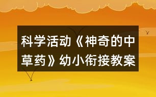 科學活動《神奇的中草藥》幼小銜接教案