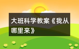 大班科學教案《我從哪里來》
