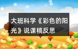 大班科學《彩色的陽光》說課稿反思